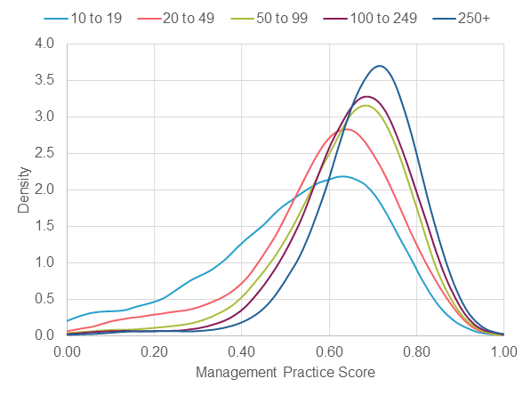 Line chart showing management practice scores in large firms remain higher than in small firms.